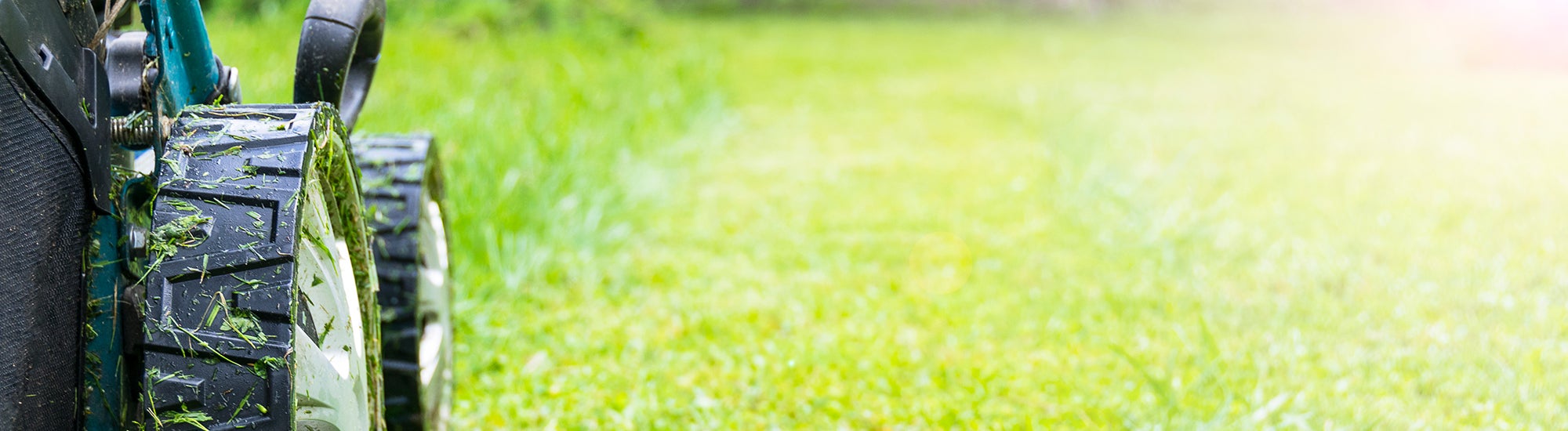 lawn rebate
