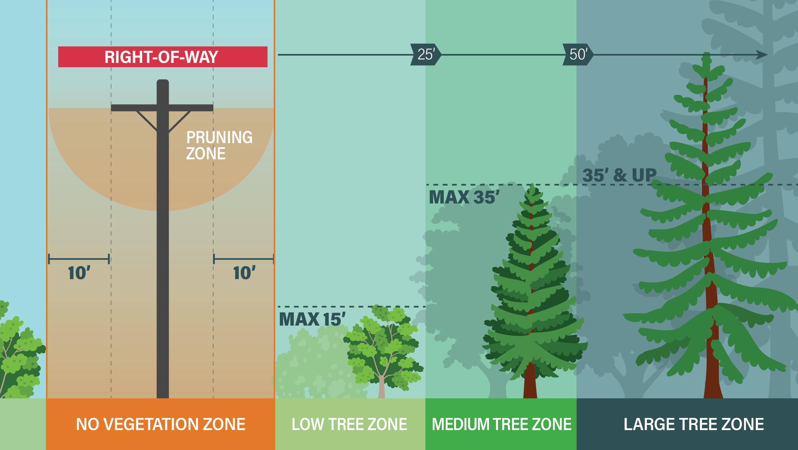 tree trimming