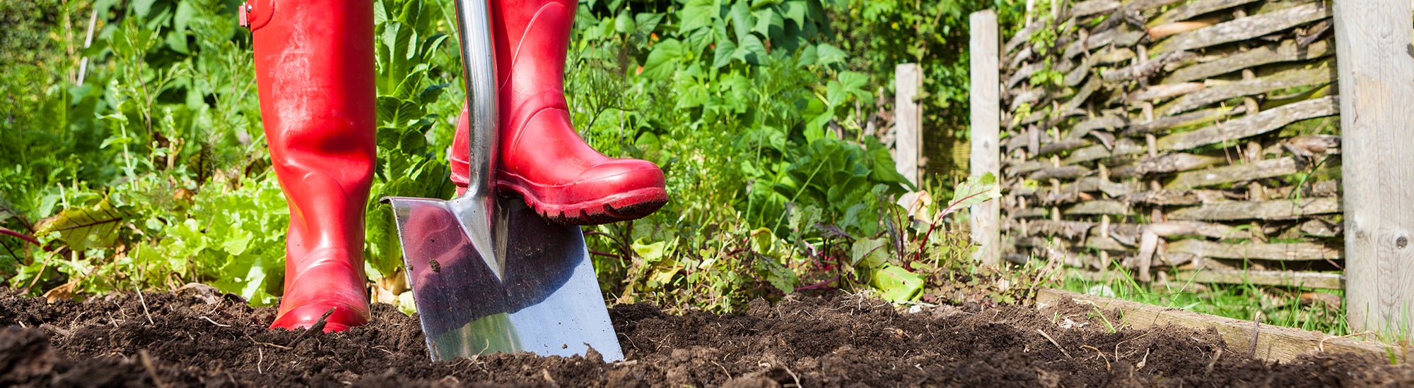 safe digging call 811